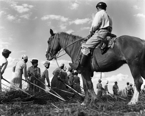 historic-image-slideshow-slavery-by-another-name-bento-pbs